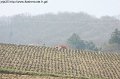 IMG_4790
